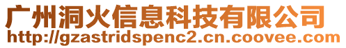 廣州洞火信息科技有限公司