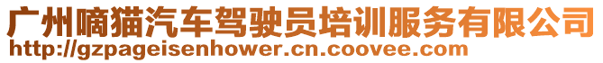 廣州嘀貓汽車駕駛員培訓服務有限公司