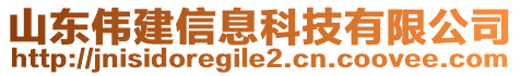 山東偉建信息科技有限公司