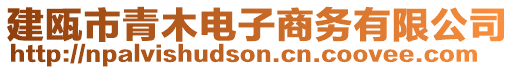 建甌市青木電子商務有限公司