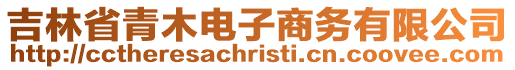吉林省青木電子商務(wù)有限公司