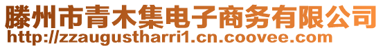 滕州市青木集電子商務有限公司