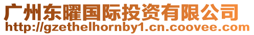廣州東曜國際投資有限公司