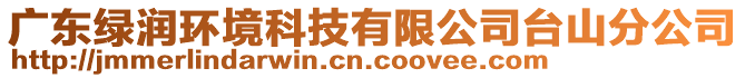 廣東綠潤環境科技有限公司臺山分公司