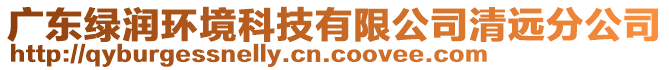廣東綠潤環(huán)境科技有限公司清遠(yuǎn)分公司