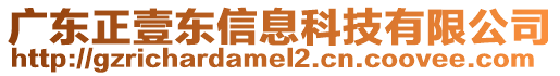 廣東正壹東信息科技有限公司
