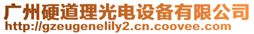 廣州硬道理光電設(shè)備有限公司