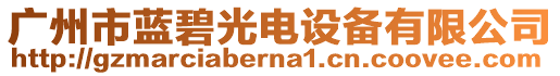廣州市藍碧光電設備有限公司