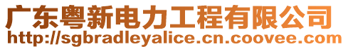 廣東粵新電力工程有限公司