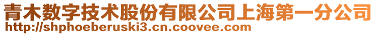青木數字技術股份有限公司上海第一分公司
