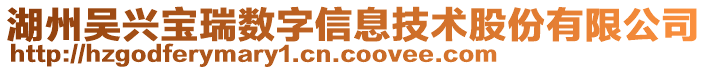 湖州吳興寶瑞數字信息技術股份有限公司