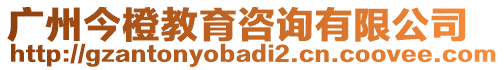 廣州今橙教育咨詢有限公司