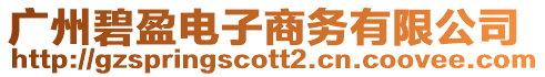 廣州碧盈電子商務(wù)有限公司
