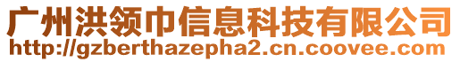 廣州洪領(lǐng)巾信息科技有限公司