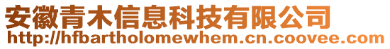 安徽青木信息科技有限公司