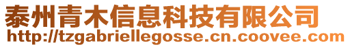 泰州青木信息科技有限公司