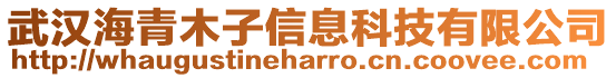 武漢海青木子信息科技有限公司