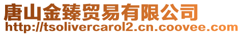 唐山金臻貿易有限公司