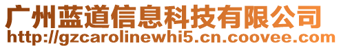 廣州藍(lán)道信息科技有限公司