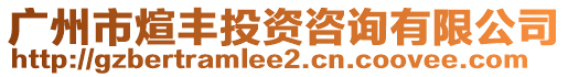 廣州市煊豐投資咨詢有限公司