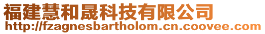 福建慧和晟科技有限公司
