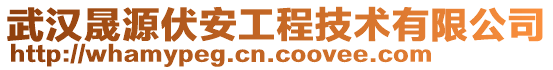 武漢晟源伏安工程技術有限公司