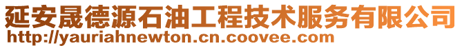 延安晟德源石油工程技術(shù)服務(wù)有限公司