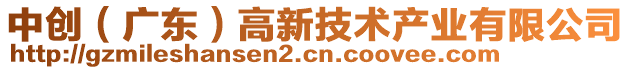 中創(chuàng)(廣東)高新技術(shù)產(chǎn)業(yè)有限公司