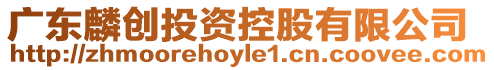 廣東麟創投資控股有限公司