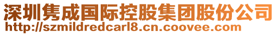 深圳雋成國際控股集團股份公司