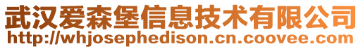 武汉爱森堡信息技术有限公司