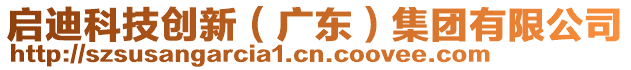 啟迪科技創(chuàng)新（廣東）集團(tuán)有限公司