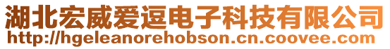 湖北宏威愛逗電子科技有限公司
