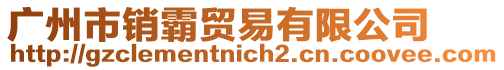廣州市銷霸貿易有限公司