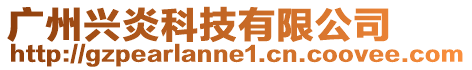 廣州興炎科技有限公司