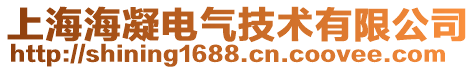 上海海凝電氣技術有限公司