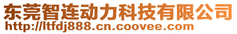 東莞智連動力科技有限公司