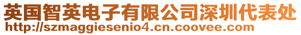 英國(guó)智英電子有限公司深圳代表處