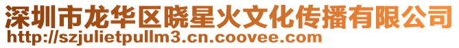 深圳市龍華區(qū)曉星火文化傳播有限公司