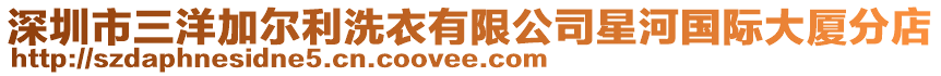 深圳市三洋加爾利洗衣有限公司星河國際大廈分店