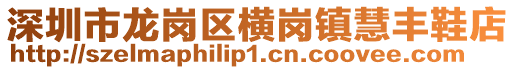 深圳市龍崗區(qū)橫崗鎮(zhèn)慧豐鞋店