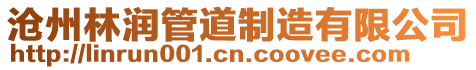 滄州林潤管道制造有限公司