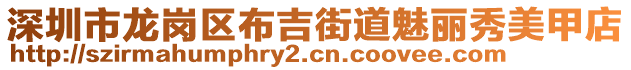 深圳市龍崗區(qū)布吉街道魅麗秀美甲店