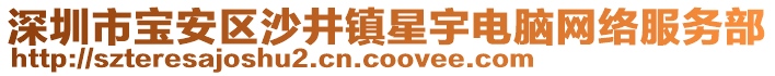 深圳市寶安區沙井鎮星宇電腦網絡服務部