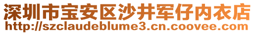 深圳市寶安區沙井軍仔內衣店