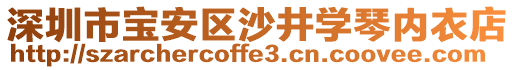 深圳市寶安區(qū)沙井學(xué)琴內(nèi)衣店