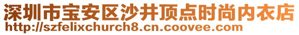 深圳市寶安區沙井頂點時尚內衣店