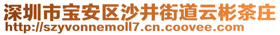 深圳市寶安區(qū)沙井街道云彬茶莊