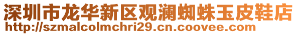 深圳市龍華新區(qū)觀瀾蜘蛛玉皮鞋店