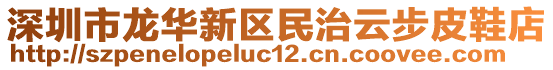 深圳市龍華新區(qū)民治云步皮鞋店